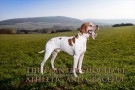 bild_009